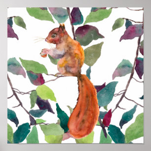 Painted Red Squirrel Acorns Tree Branches Rustic Poster