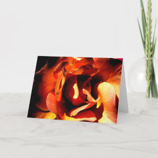Painted Rose Card
