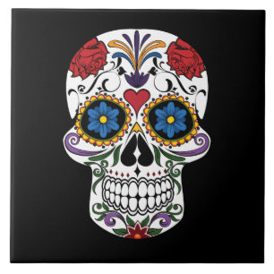 Painted Skull Design Ceramic Tile