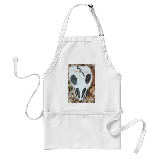 painted skull standard apron (Front)