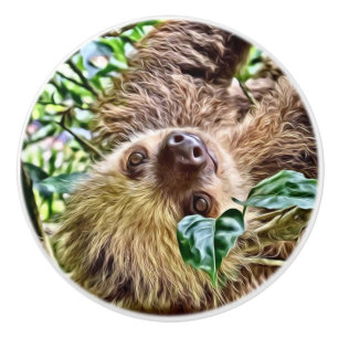 painted Sloth Ceramic Knob