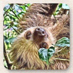 painted Sloth Coaster