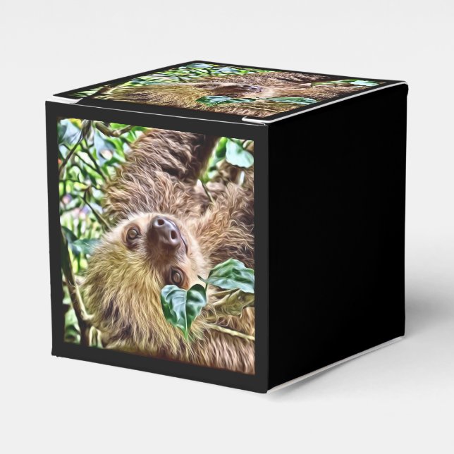 painted Sloth Favour Box (Front Side)