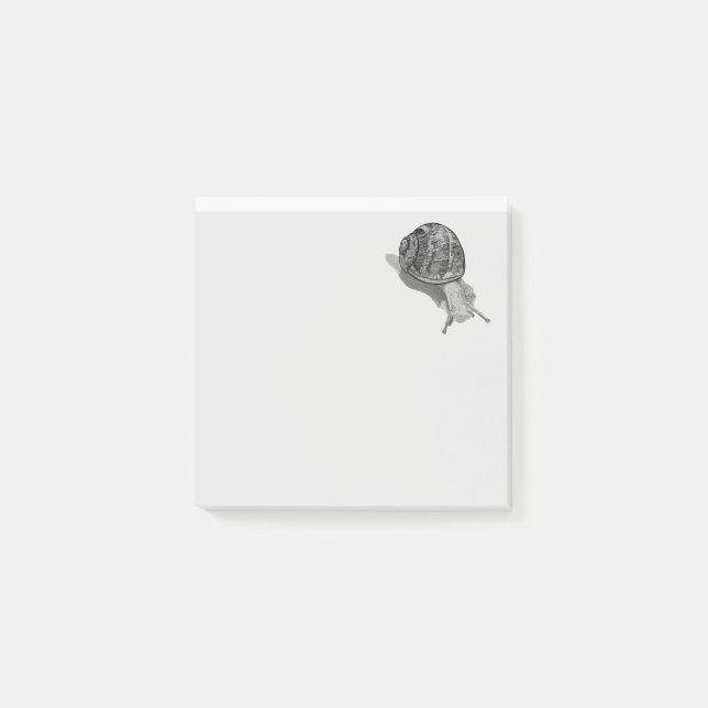 Painted Snail Post-it Notes (Front)