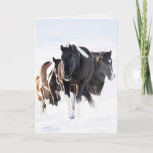 "Painted Snow Day II" - Wild Horse Greeting Card