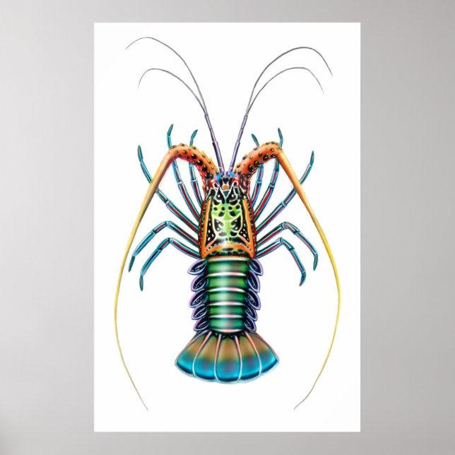 Painted Spiny Lobster Poster (Front)