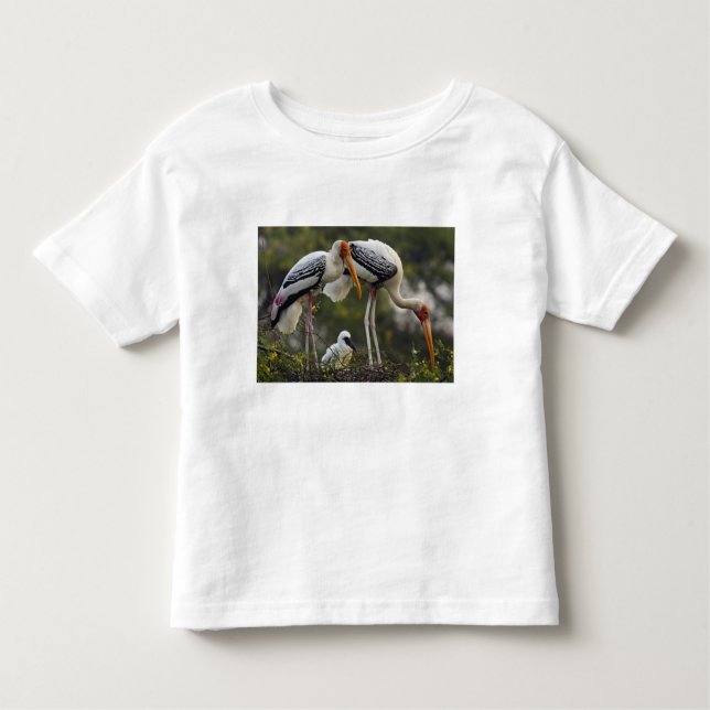 Painted Storks & young one at nest,Keoladeo Toddler T-Shirt (Front)