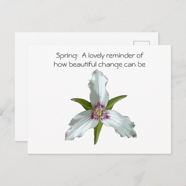Painted Trillium Spring Wildflower Postcard (Front/Back)