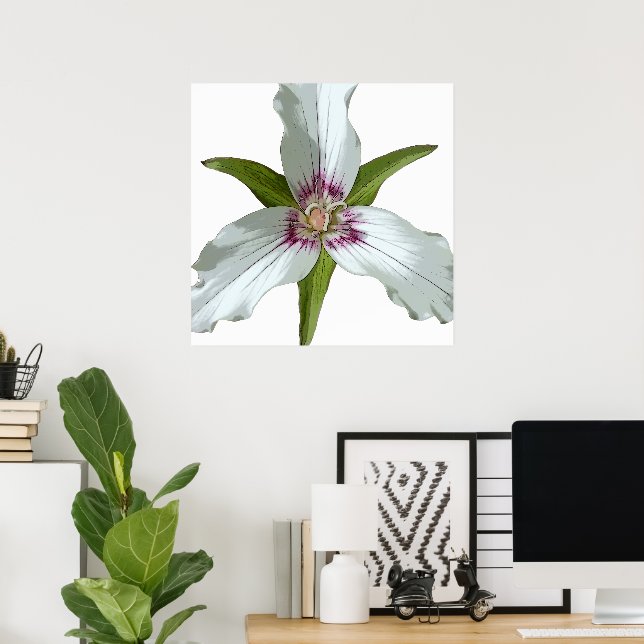 Painted Trillium Spring Wildflower Poster (Home Office)