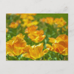 Painted Tulips Postcard