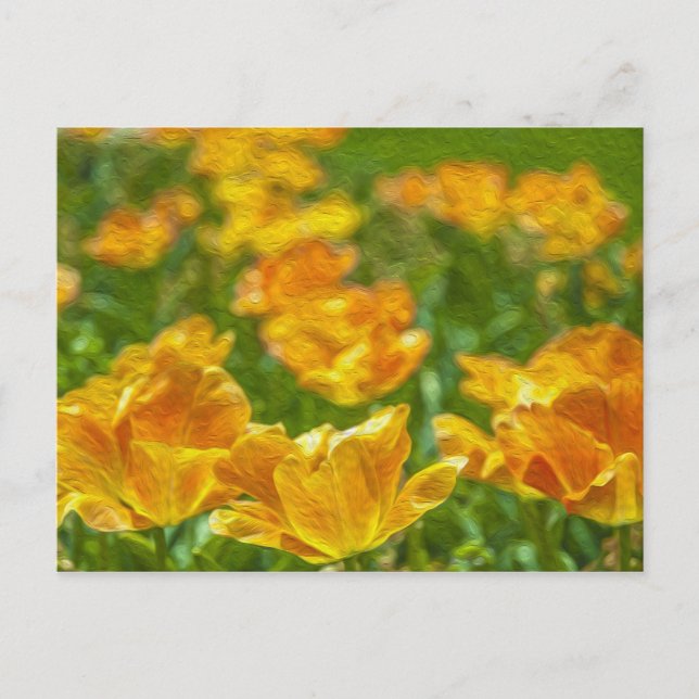 Painted Tulips Postcard (Front)