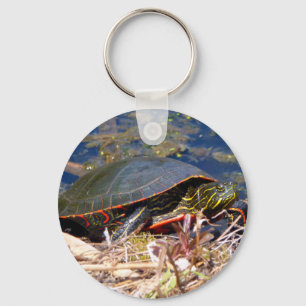 Painted Turtle (Chrysemys picta) 3 Key Ring