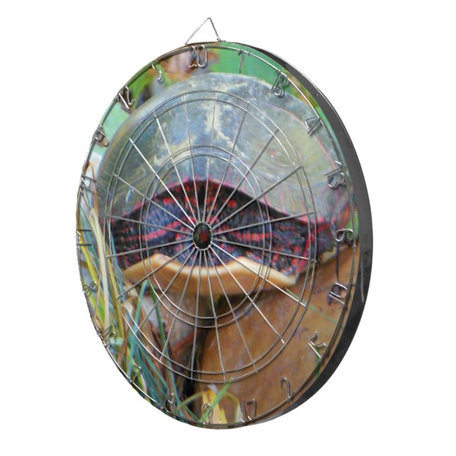 Painted Turtle Hiding Dartboard (Front Right)
