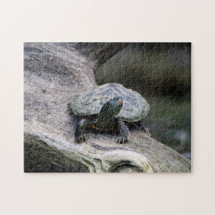 Painted Turtle on a branch Jigsaw Puzzle
