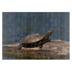 Painted turtle on a log cutting board