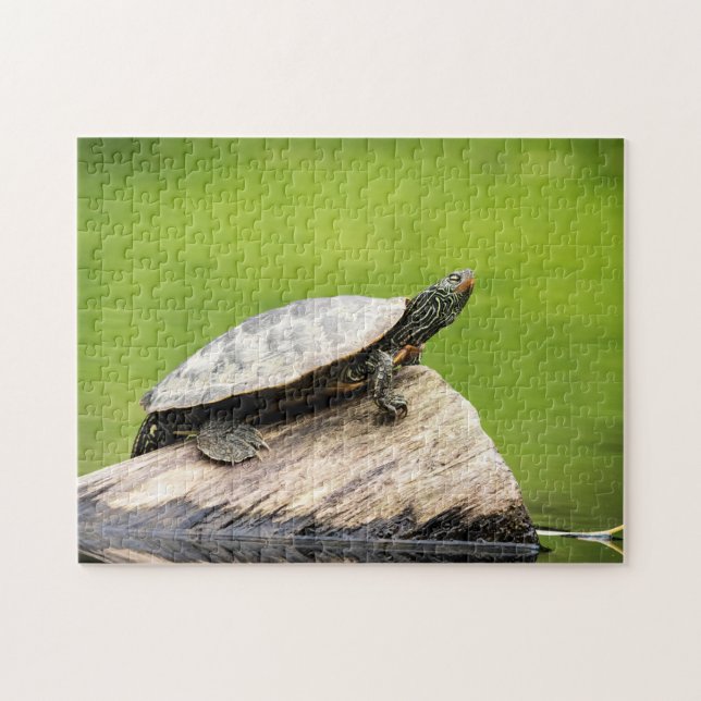 Painted Turtle on a log Jigsaw Puzzle (Horizontal)