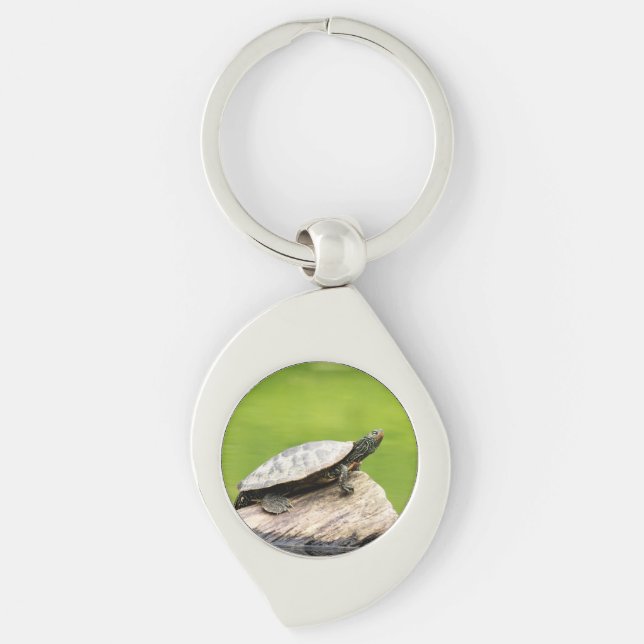 Painted Turtle on a log Key Ring (Front)
