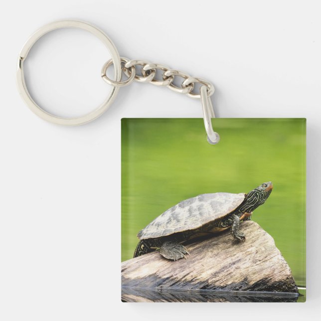 Painted Turtle on a log Key Ring (Front)