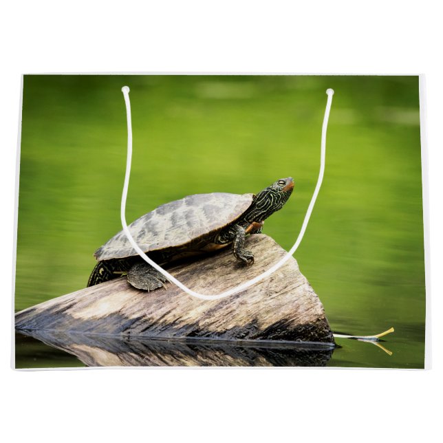 Painted Turtle on a log Large Gift Bag (Front)