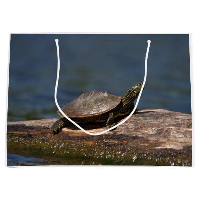 Painted turtle on a log large gift bag (Front)