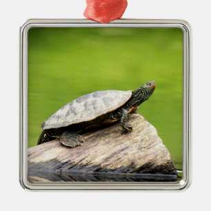 Painted Turtle on a log Metal Ornament