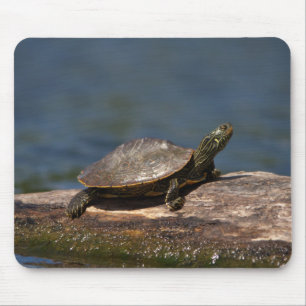 Painted turtle on a log mouse pad