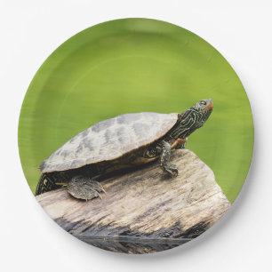 Painted Turtle on a log Paper Plate