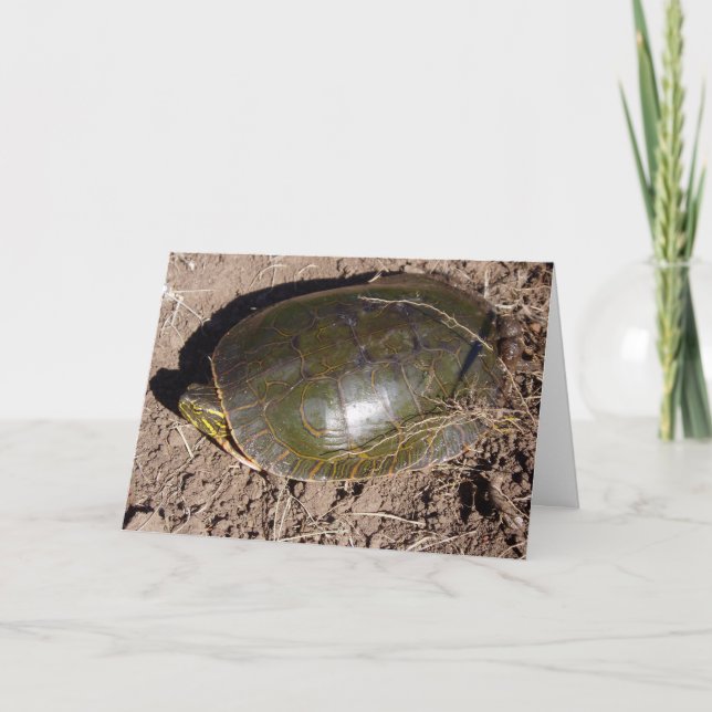 “Painted Turtle” Thank You Card (Front)