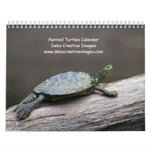 Painted Turtles 2024 Calendar