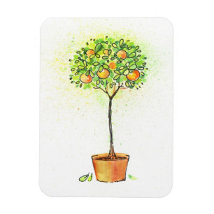 Painted watercolor citrus tree in pot magnet