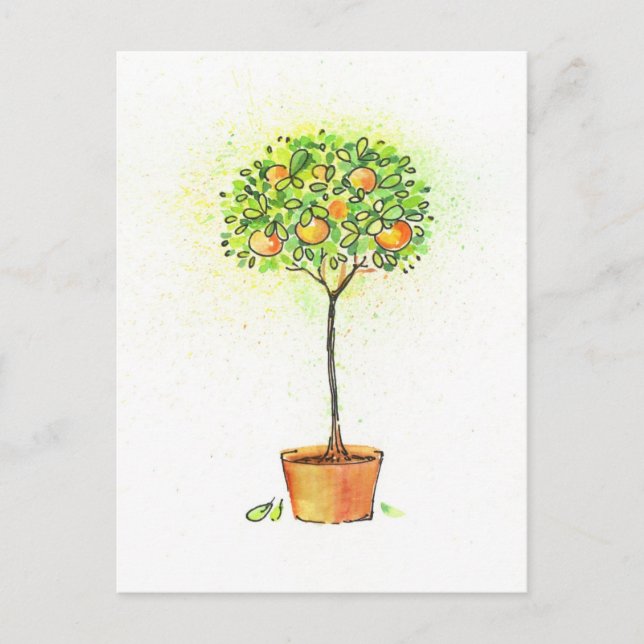 Painted watercolor citrus tree in pot postcard (Front)