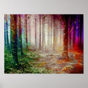 Painted Woods Poster