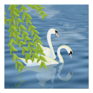 Painting Blue and Green pair of Swans on the lake Poster