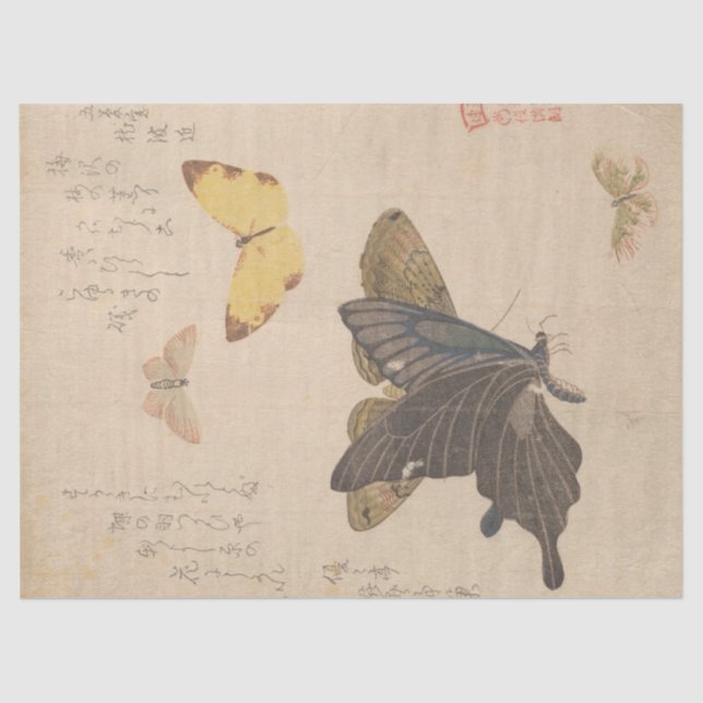 Painting Manual of Flock of Butterflies by Shunman Tissue Paper (Front)