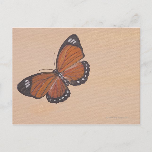 Painting of butterfly postcard (Front)
