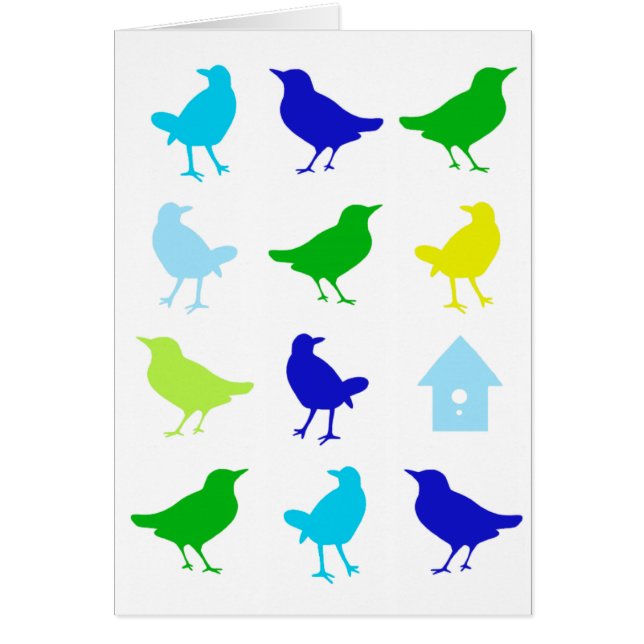 Painting of Coloured Birds by Chariklia Zarris (Front)