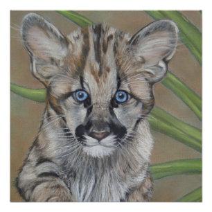 painting of cute cougar kitten big cat wildlife poster