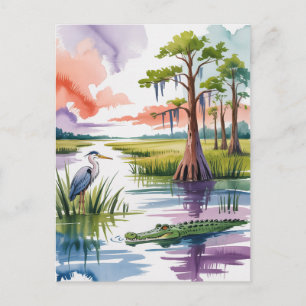 Painting of Everglades National Park Postcard