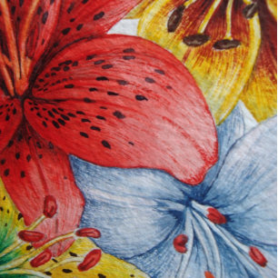 painting of lots of colourful lily flowers floral throw blanket