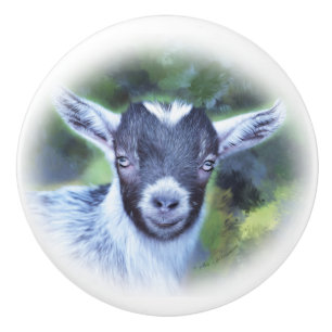 Painting of my Pygmy Goat Savannah Ceramic Knob
