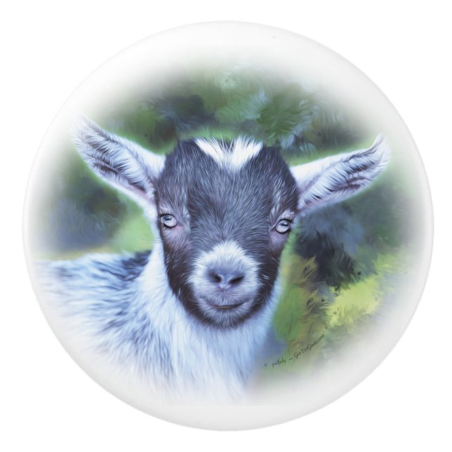 Painting of my Pygmy Goat  Savannah Ceramic Knob (Front)