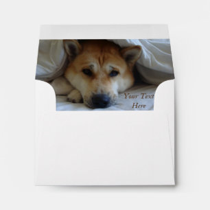 painting of thoughtful dog thinking of you envelope