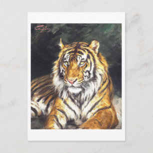 Painting of Tiger Postcard