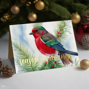 Painting of Winter Bird Red Green Holiday Card