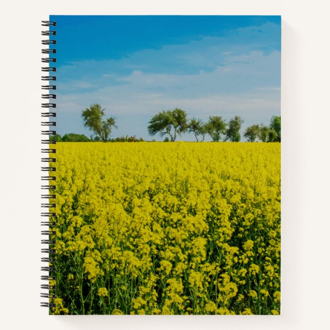 Painting of yellow flowers field notebook (Front)
