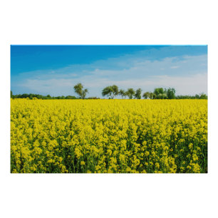 Painting of yellow flowers field photo print