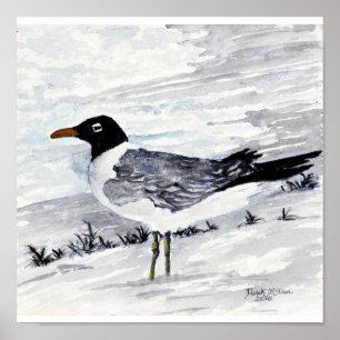 paintings and prints of seagulls beach art