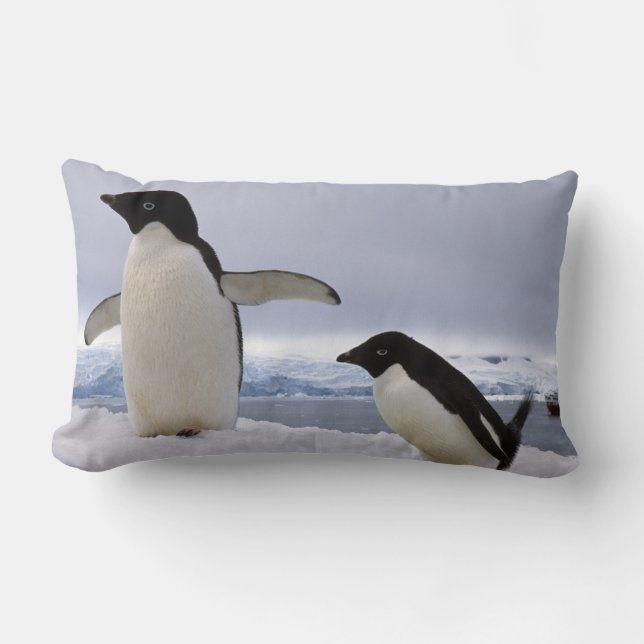 Pair Adelie penguins Antarctica Lumbar Cushion (Front)