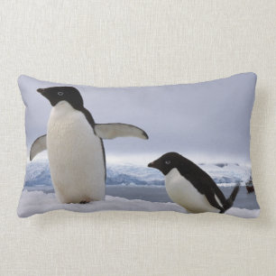 Pair Adelie penguins Antarctica Lumbar Cushion
