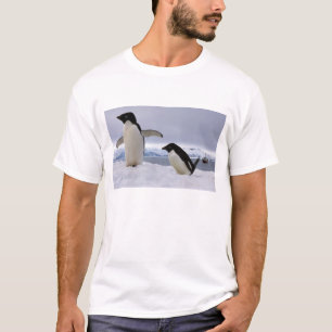 Pair Adelie penguins Antarctica T-Shirt